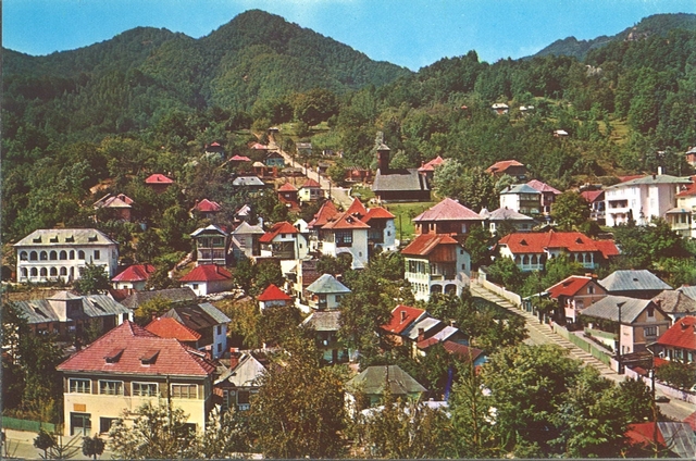 2086-5 - Olănești